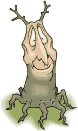 an504.gif (15710 bytes)